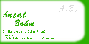 antal bohm business card